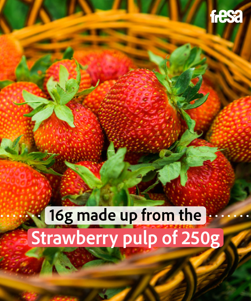 Strawberry Fruit Bites